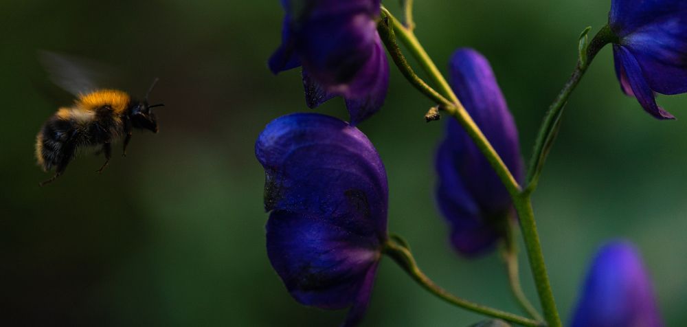 Последние дни лета