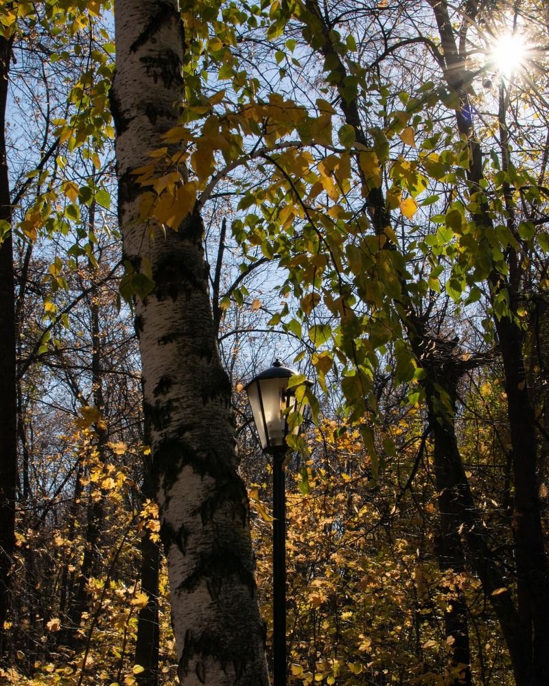 Photograph by Ольга Доловова