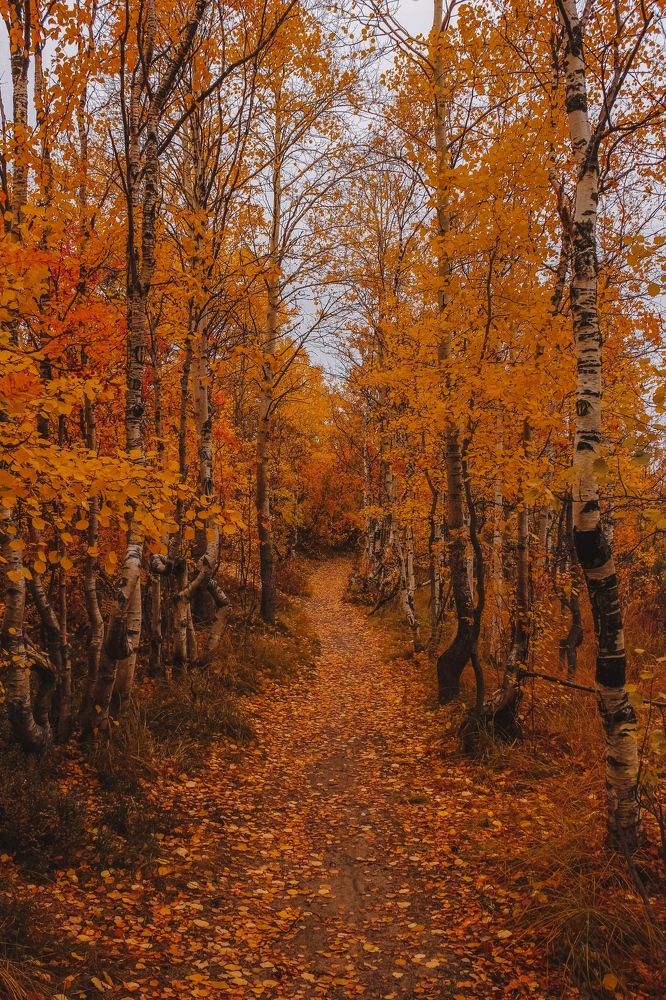 Photograph by Мария Василенко