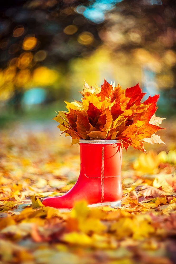 Photograph by Ксения Базарова