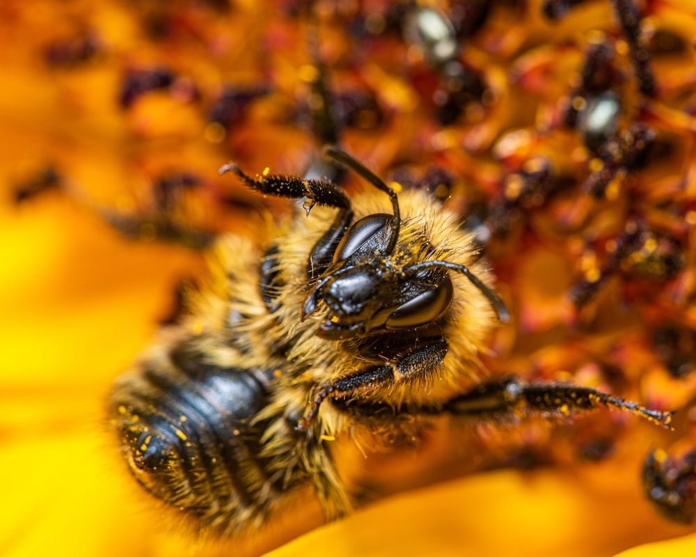 Photograph by Павел Войтукович