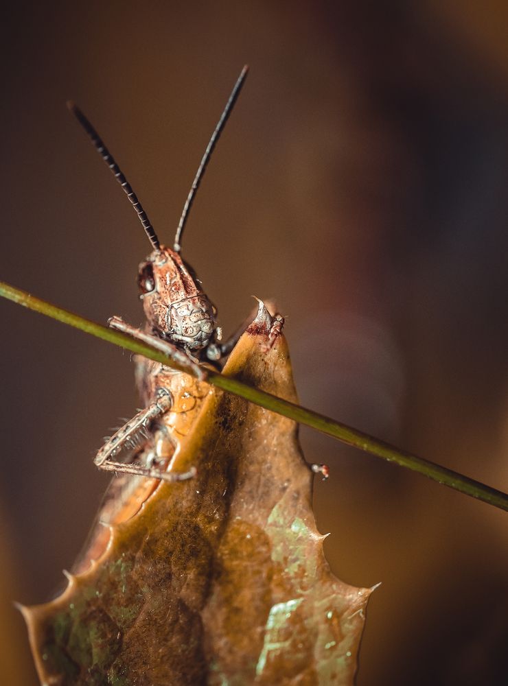 Photograph by Павел Войтукович