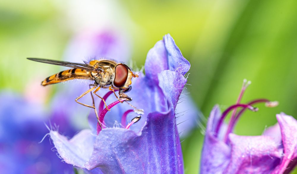 Photograph by Павел Войтукович