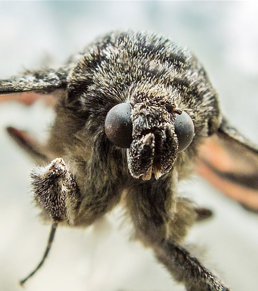 Photograph by Владимир Рябов