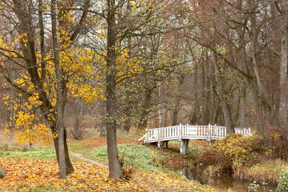 Фотография автора Ольга Никанович