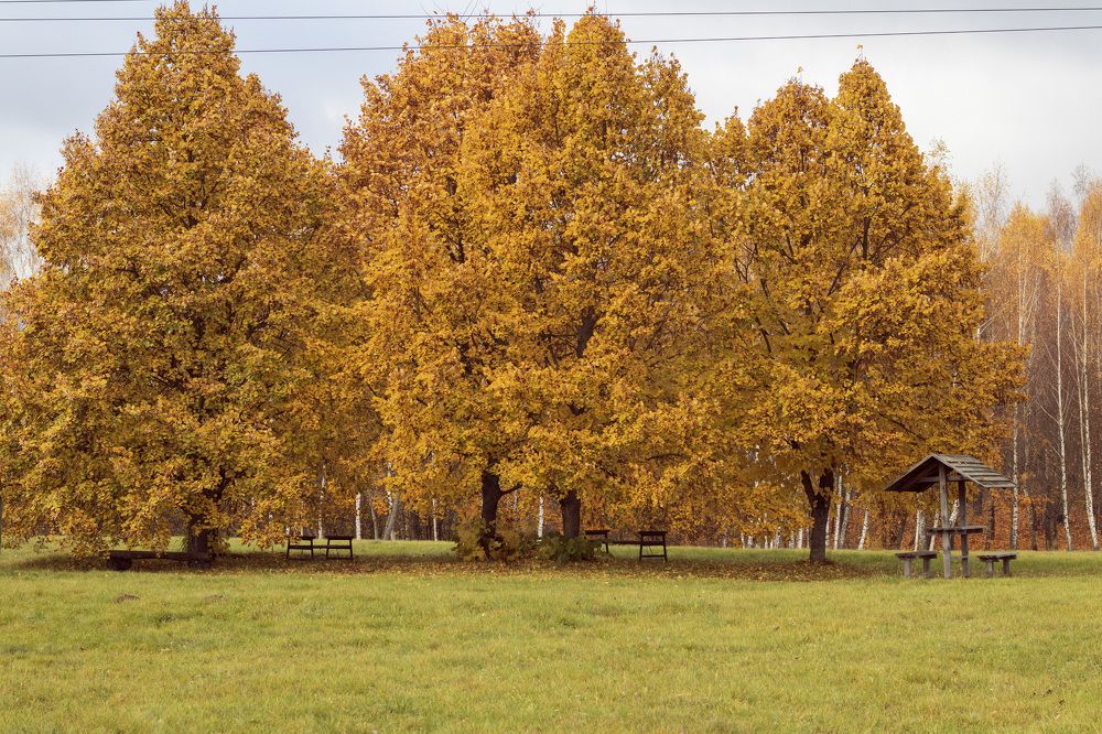 Фотография автора Ольга Никанович