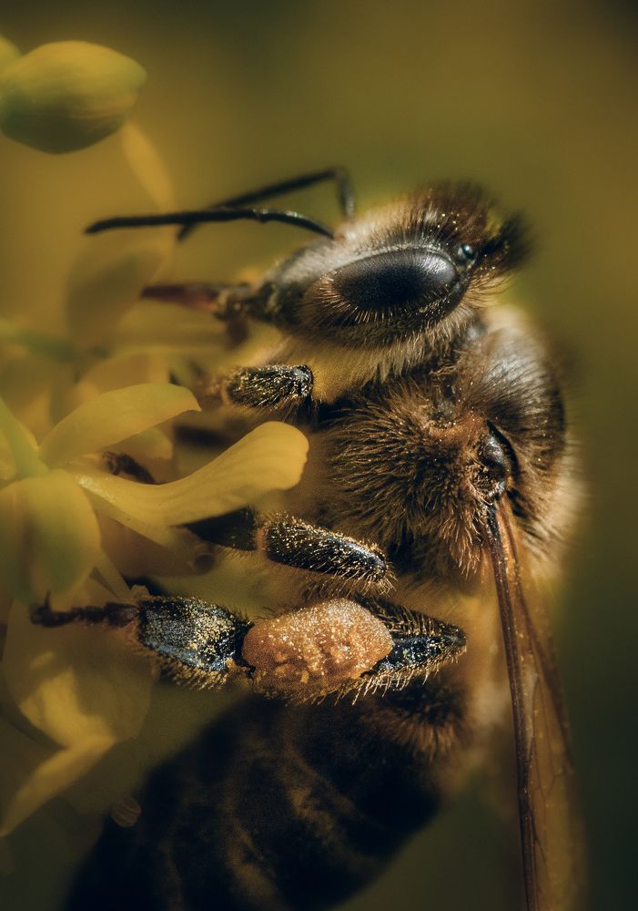 Фотография автора Константин Яковлев