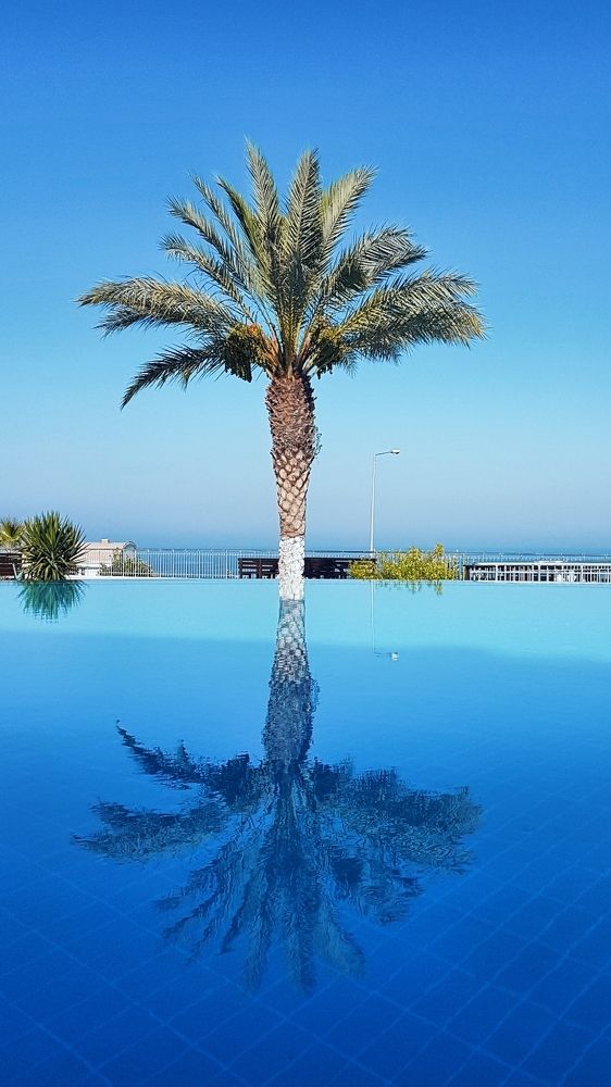 Photograph by Екатерина Карелина