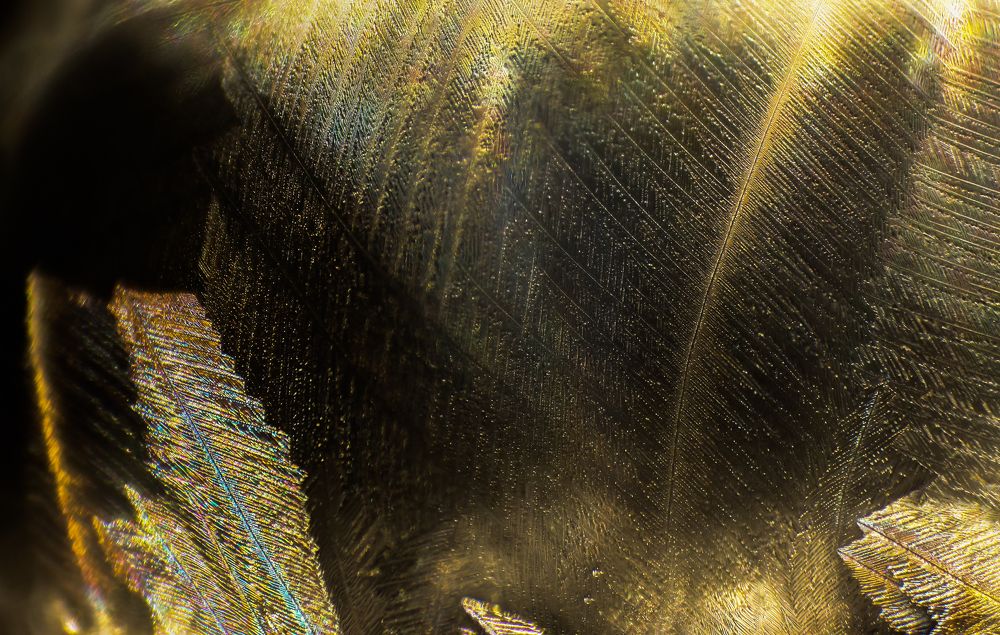 Замёрзший мыльный пузырик