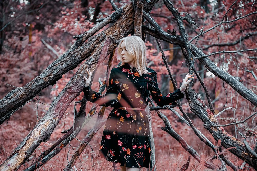 Photograph by Артем Грачев