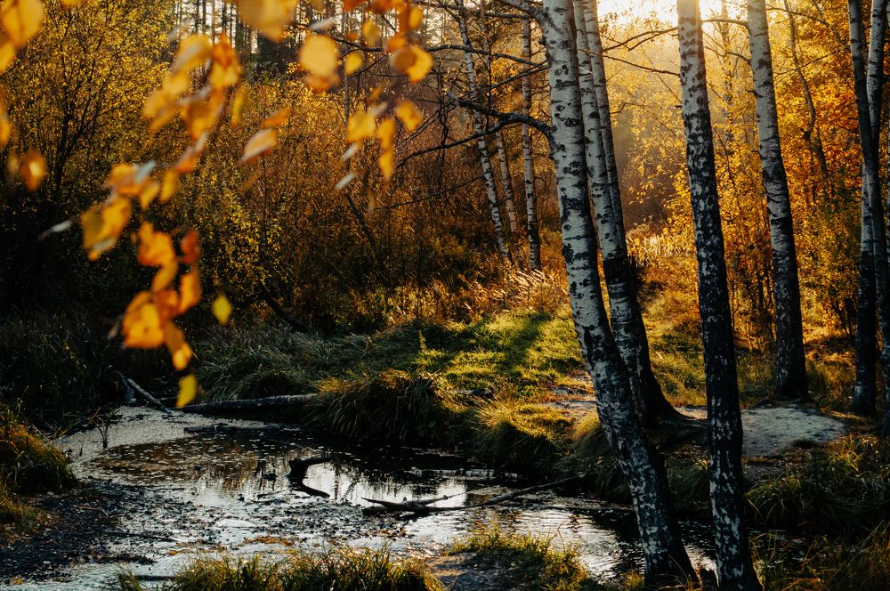 Photograph by Сергей Рокантен