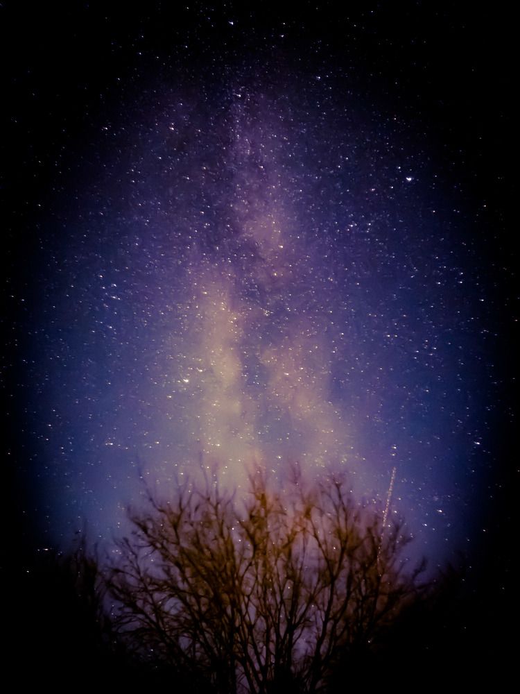 Photograph by Lorne bear