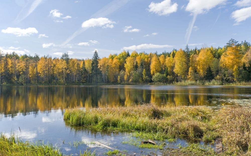 Photograph by Елена Чудиновских