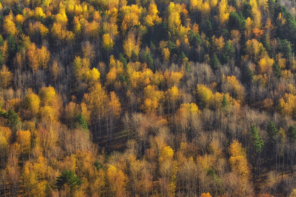 Photograph by Юлия Лушникова