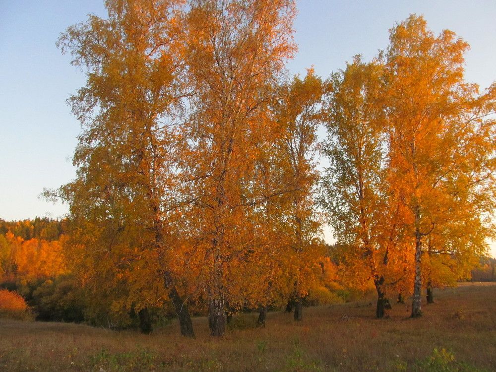 Photograph by Елена Федорова