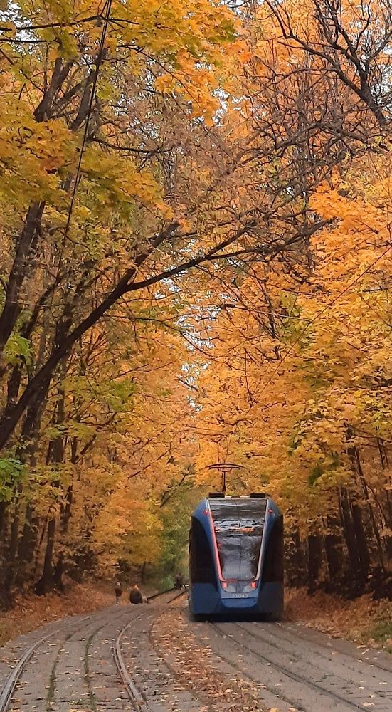 Московская осень.