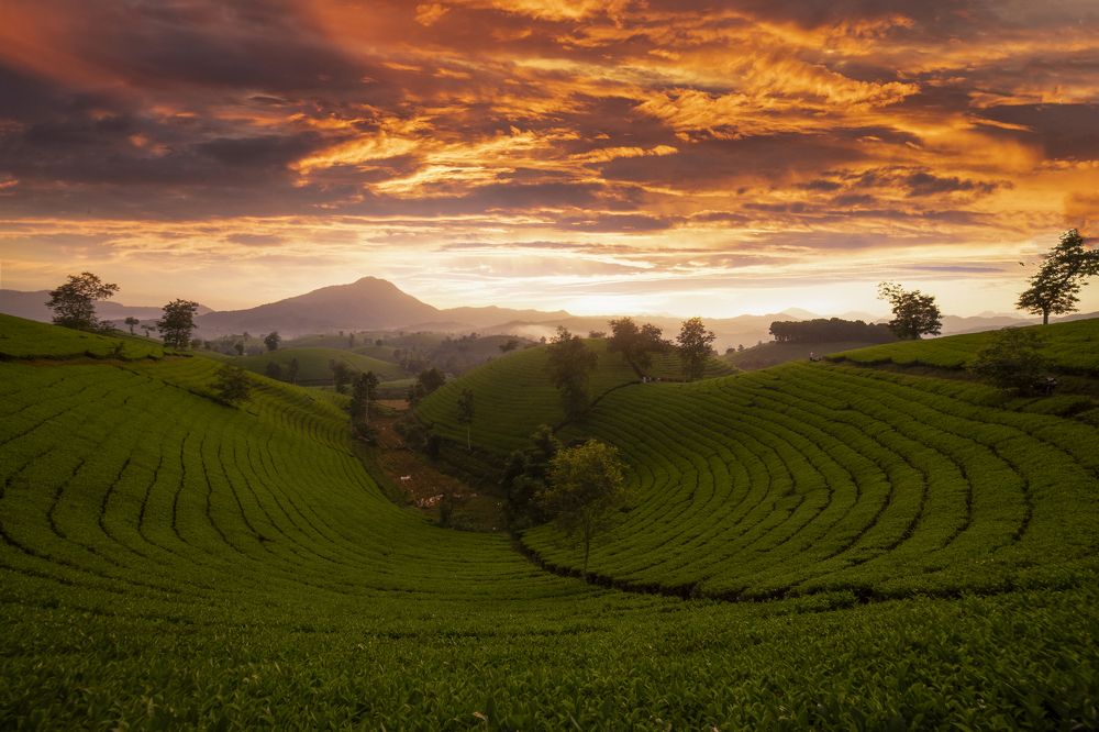 Photograph by Sky Hunter Duy Quang
