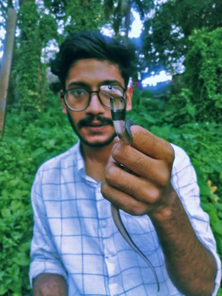 Snake rescuer