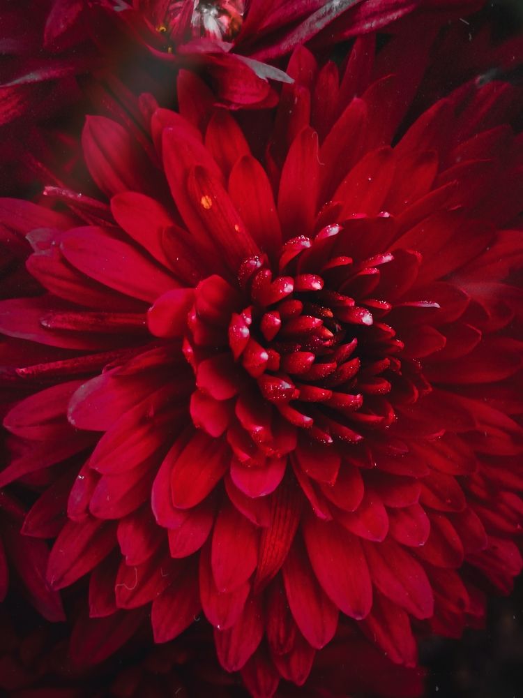 Photograph by Татьяна Желобкова