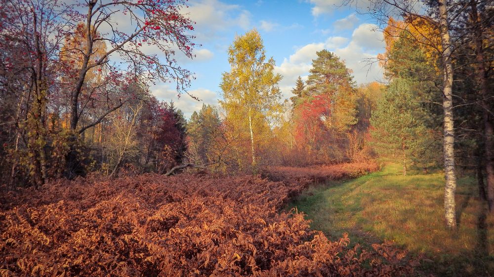 Фотография автора Boris Yakovlev