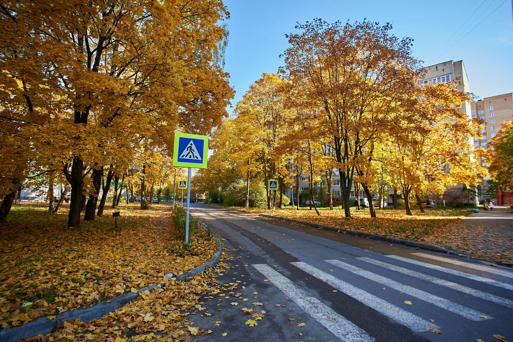 Photograph by Михаил Зикрач