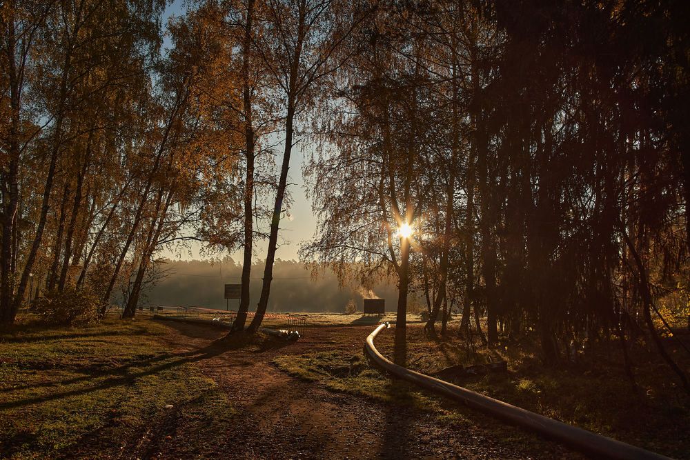 Photograph by Михаил Зикрач