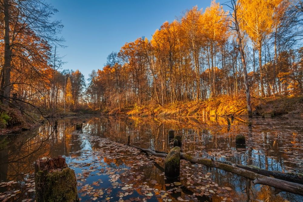 Photograph by Дмитрий Сундеев