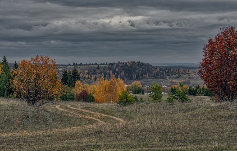 Уходящая осень.