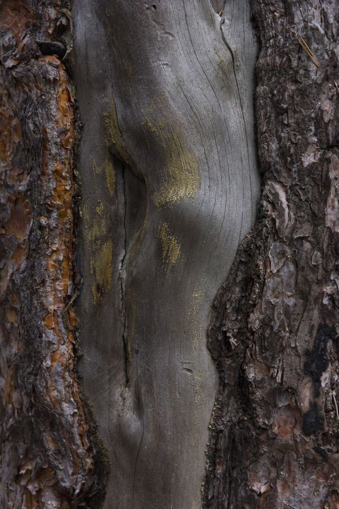 Photograph by Anna Gapanovich