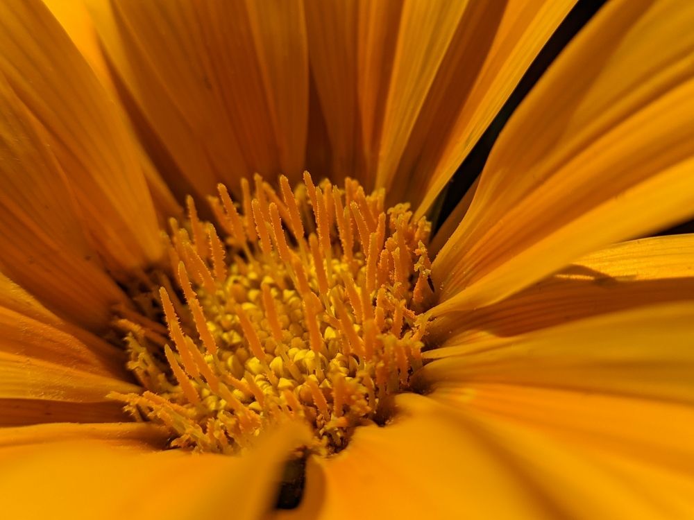 Photograph by Souradip Mukherjee