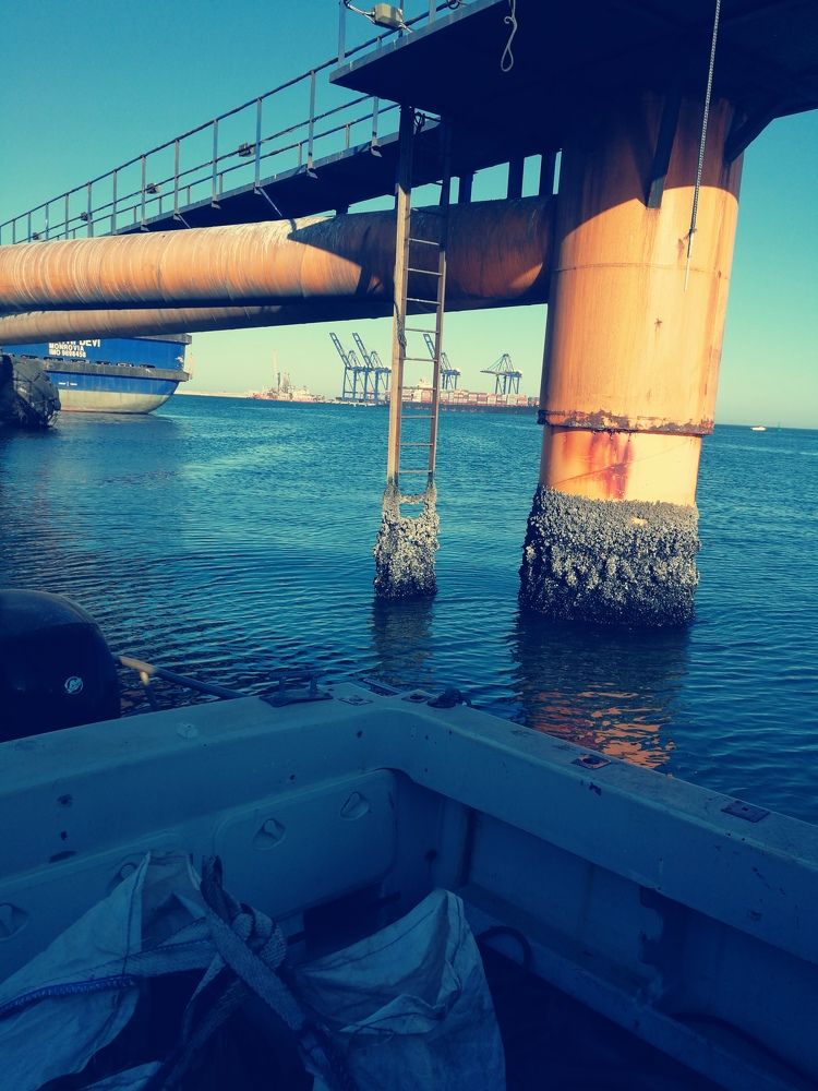 Photo #6594089