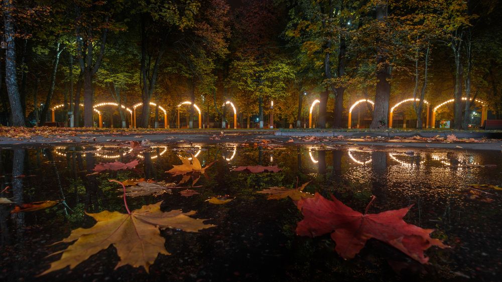 Photograph by Константин Панькин