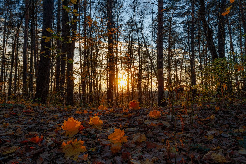 Photograph by Константин Панькин