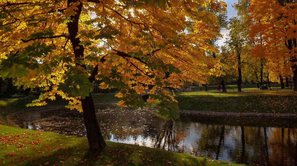 Фотография автора Boris Yakovlev