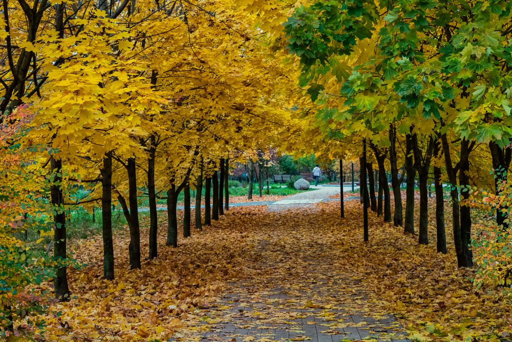 Photograph by Ilya Tikhaev