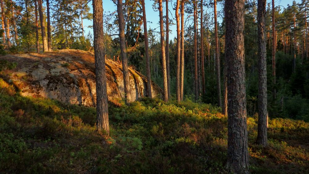 Фотография автора Boris Yakovlev