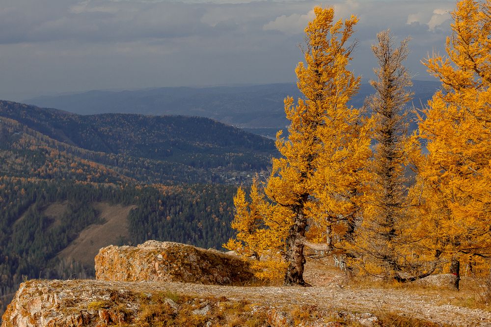 Фотография автора Анна Рыжкова