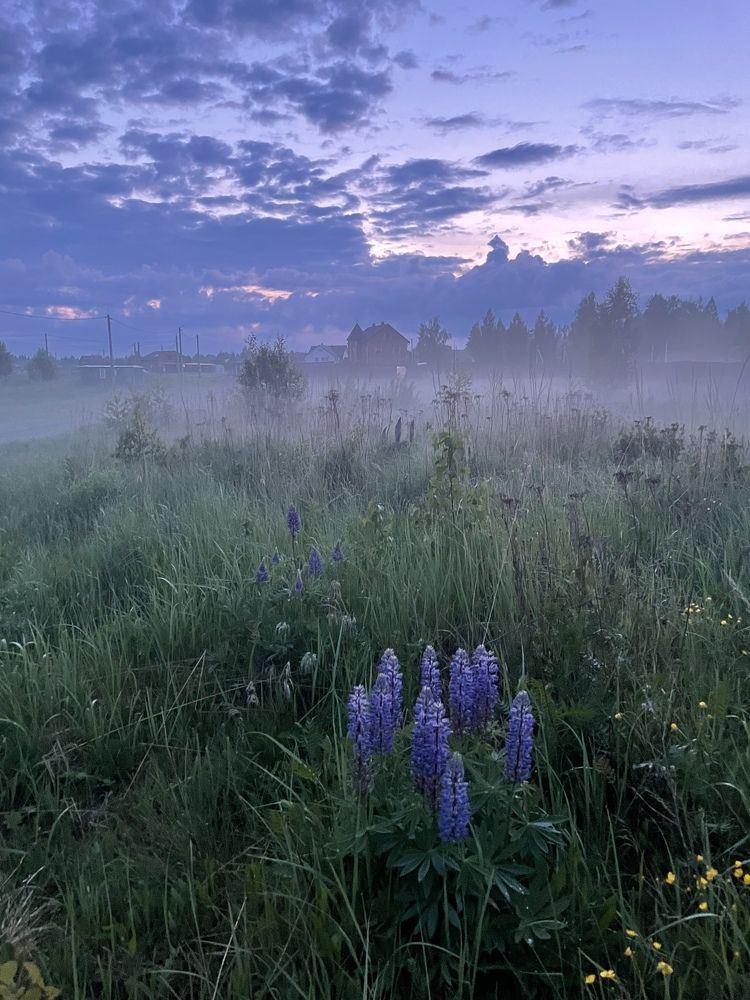 Photograph by Валерий Кочергин