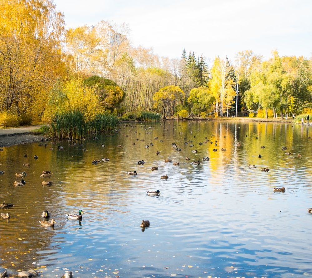 Photograph by Алена Алалыкина