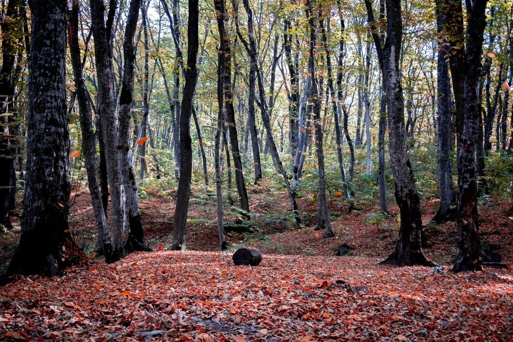 Photograph by Евгений Еськов