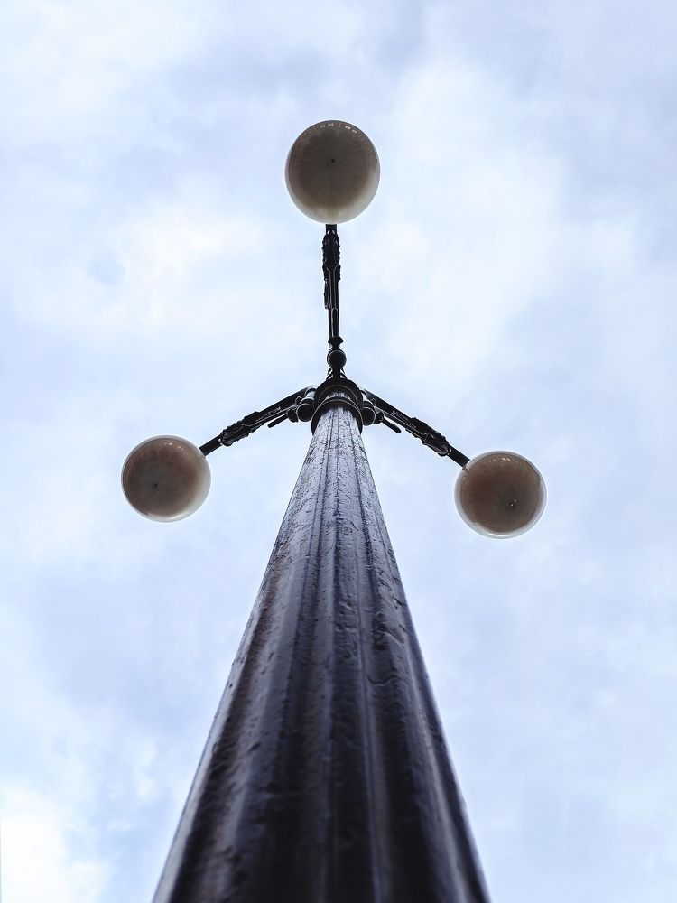 Повелитель ночи