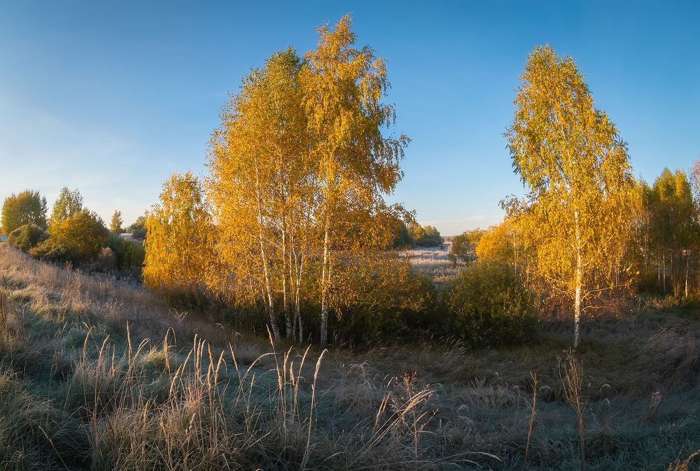 Утро октября