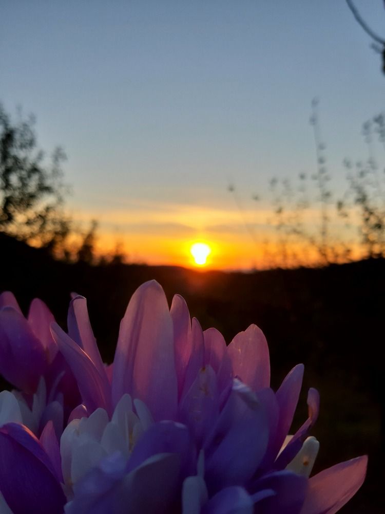 Photograph by Bojana Jovanović