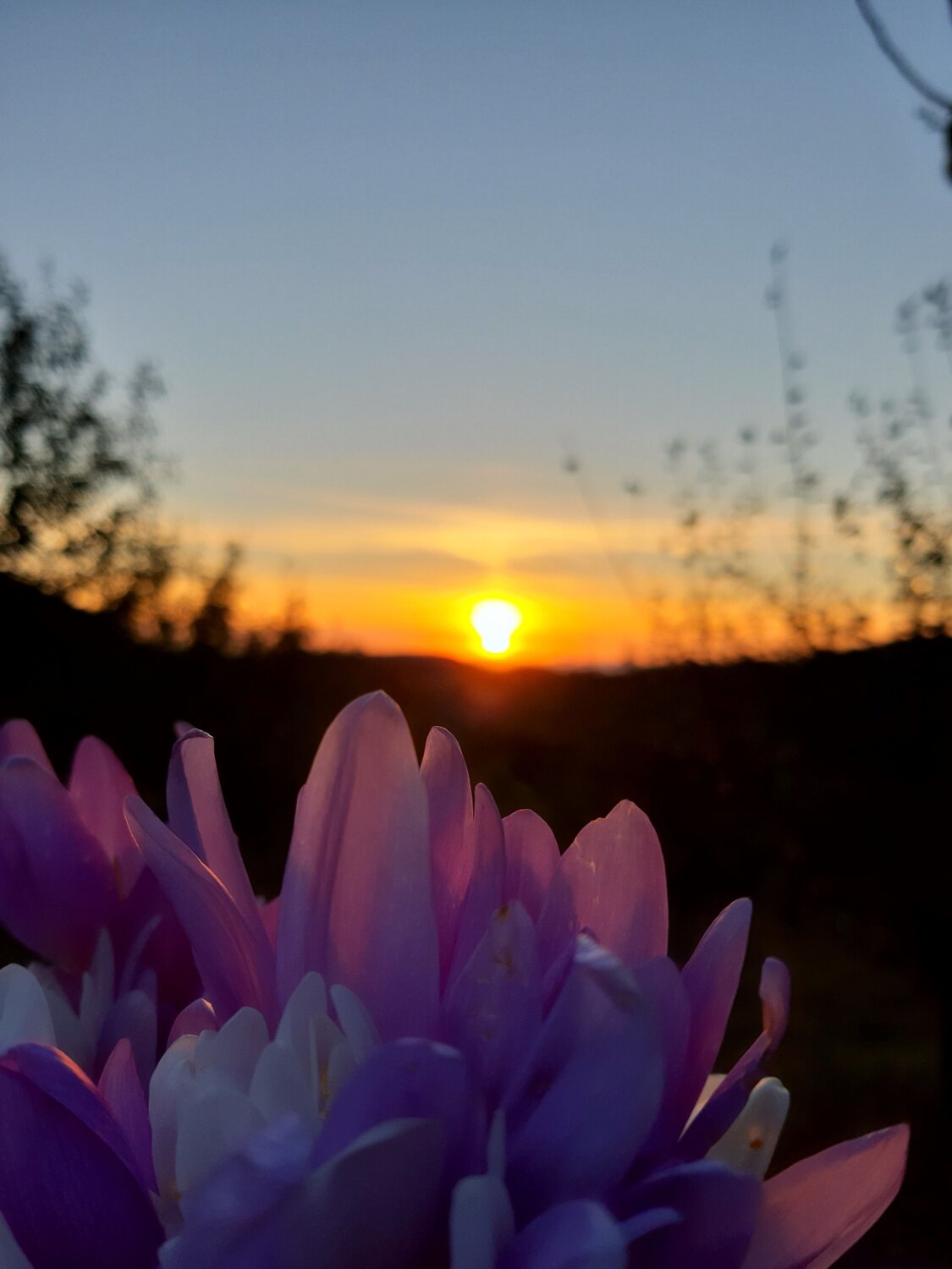 Photo #6594229