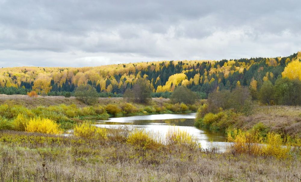 Photograph by Надежда Коновалова