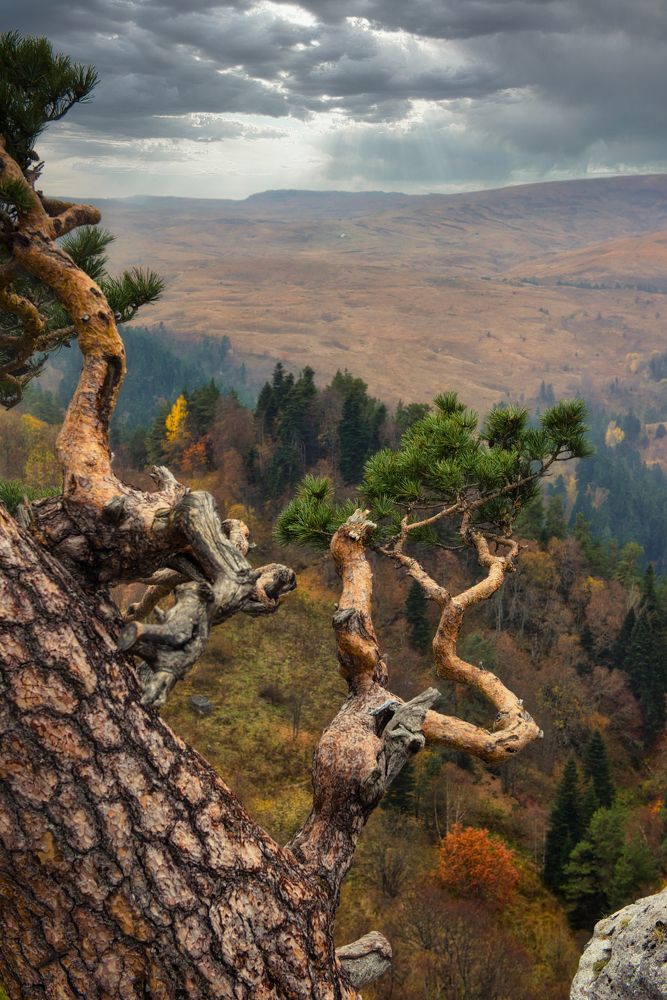 Photograph by Андрей Володин