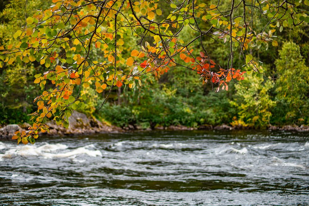 Photograph by Анна Гиндендорф