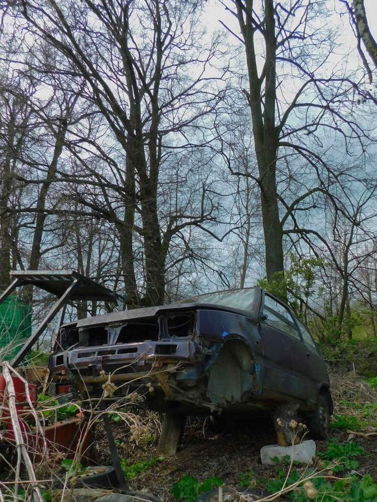 Photograph by Юлия Журавлёва