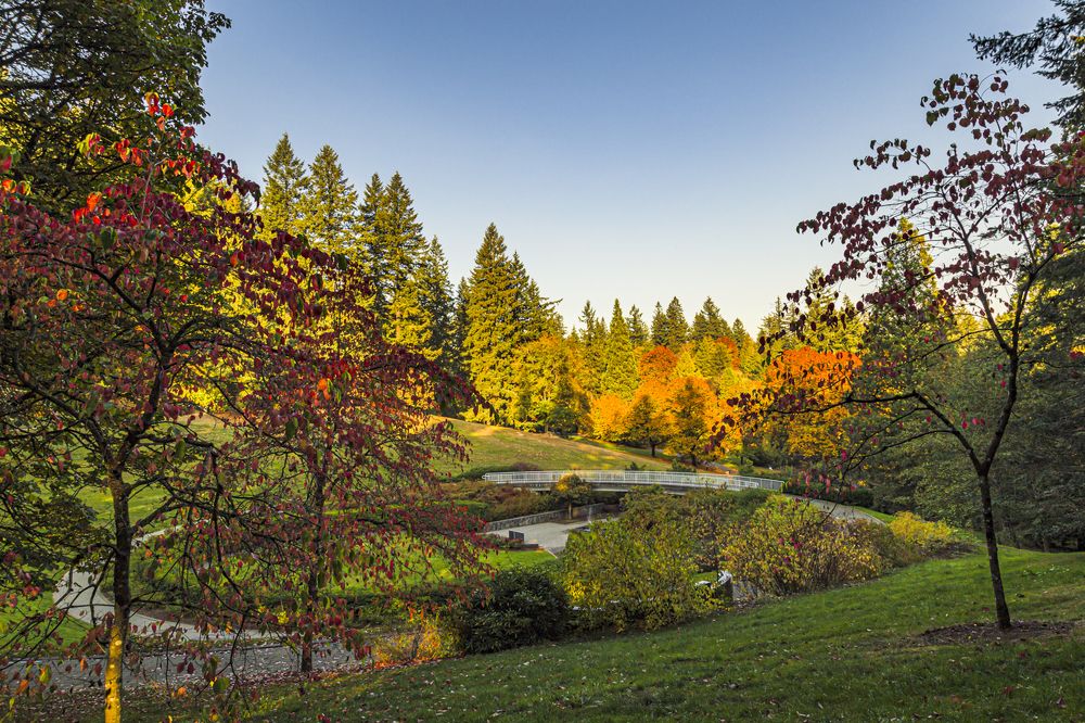 Autumn in the park. Oregon.