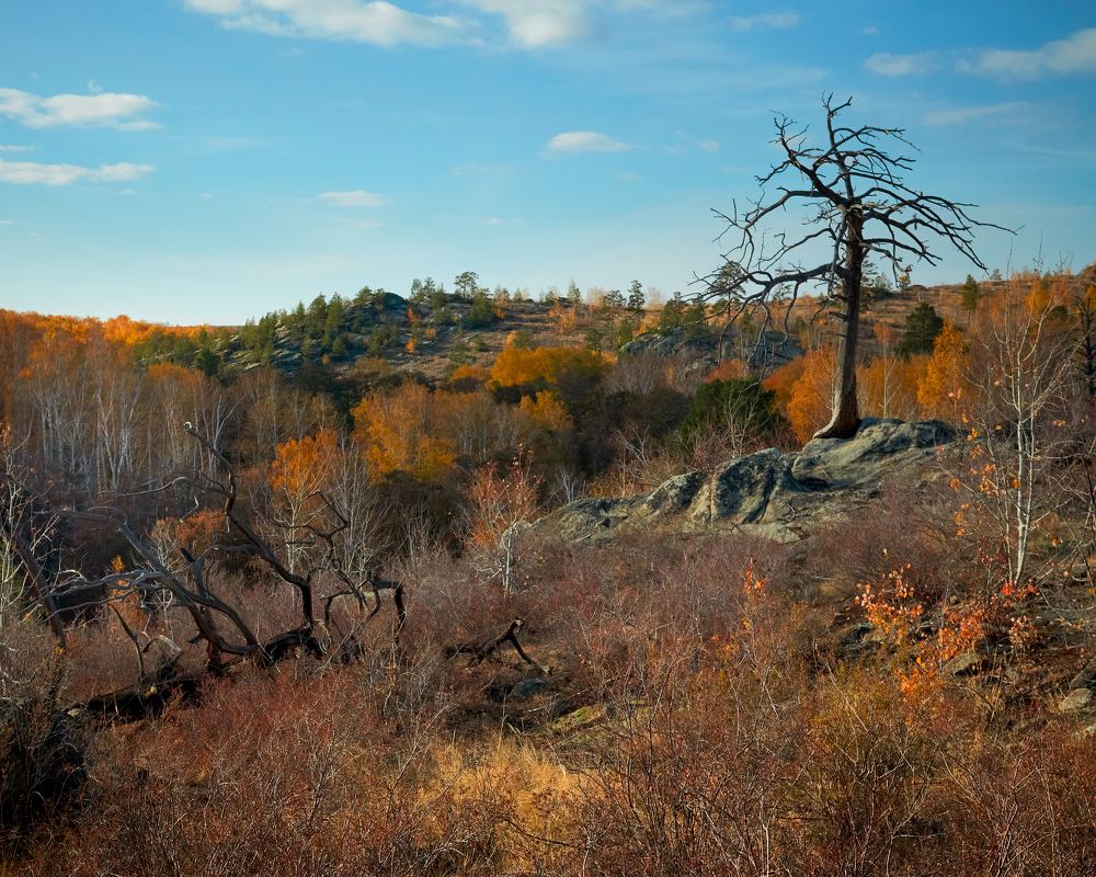 Photograph by Оксана Курочкина